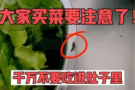 超市买的生菜里居然发现水蛭，赶紧把菜扔了，太吓人！视频封面