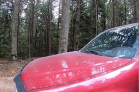 【英语口语】横跨加拿大的公路旅行6--A BEAR!视频封面