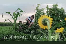 农村媳妇带着3岁宝宝去摘菜，孩子不懂事踩踏庄稼，该怎么教育好视频封面