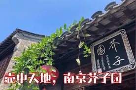 南京芥子园，一座壶中天地的江南园林，一段大隐于市的精彩人生。视频封面