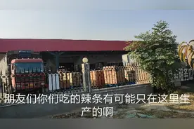 实拍：最大的辣条生产厂卫龙辣条，天天货车拉不停视频封面