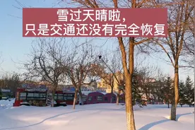 大雪后的哈尔滨，道路基本畅通，中小学生放假撒欢，商场人流涌动视频封面