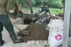 养鸡场清理粪便，按步骤进行，清理完后干净多了