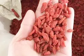 原来保存枸杞这么简单！干货店老板教你独家绝招，放一年都不发粘视频封面