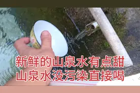 新鲜的山泉水没有任何污染不需要任何的加工直接喝，味道有点甜。视频封面