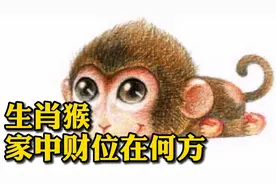 生肖猴家中财位在何方？视频封面