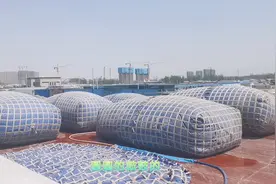 路边圆圆鼓鼓的蓝色“气球”，小红感到很奇怪，走进要一探究竟视频封面