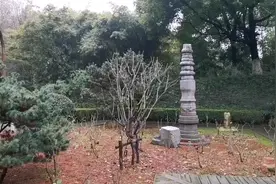 寻访留存在常州红梅公园内的历史遗迹（三）护国寺袈裟塔视频封面