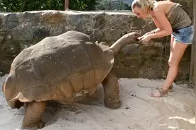 撸猫撸狗有啥意思，还有比撸龟更有趣的事吗？