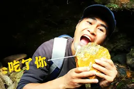 小伙深山捡石头，挖到黄色漂亮玉石，想一口吃下去视频封面
