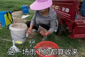 农村娘俩花生地打药花生干旱娘俩却说可别下雨，到底为啥？视频封面