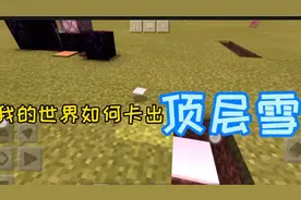 【我的世界】生存模式也能卡出的顶层雪