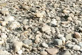 今天来陕西宝鸡冯家山水库这捡鸡血石！视频封面