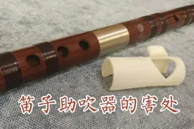 笛子新手避坑指南——助吹器视频封面