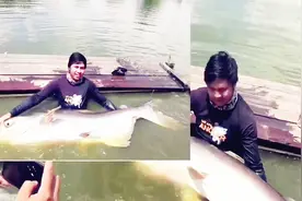 黑坑1.5米长罕见大鱼王被拽上来，上百斤重一般人根本抱不动！