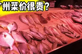 广州消费有多高，蔬菜肉类比北京深圳还贵，不信你看了就知道