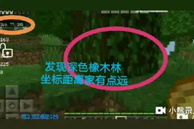 多人生存39:我走了很久，终于找到了深色橡木林