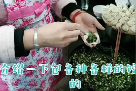 南方人看北方人擀面皮包饺子，直感叹好厉害，好漂亮，好好吃。视频封面