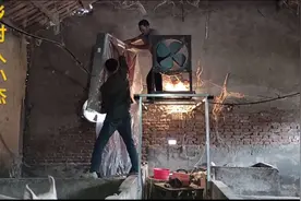 夏季高温，养殖户给猪圈装了个自制空调，省电，省钱，超实用。