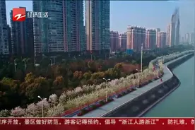 杭州滨江推“人才码” 三年内人才房将超10000套视频封面