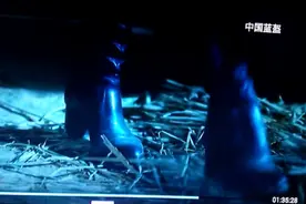 美女特地换上长靴鼓舞士气指挥战斗，可是结果还是失败。视频封面