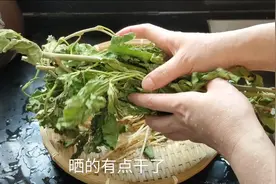 桑叶是宝贝，对感冒和咽炎有功效？广东人才知道可以用来煲汤