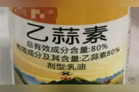 乙蒜素：“杀菌之王”杀真菌细菌，速度快效果好，5点要注意视频封面