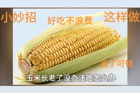 玉米长老了没办法吃怎么办？这个方法教你做的好吃又不浪费