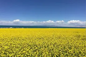 什么是紫外线指数？