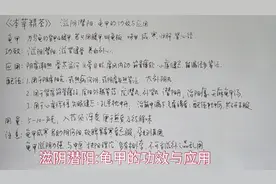滋阴潜阳:龟甲的功效与应用