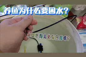 养鱼为什么要困水？困水多久可以用？困水时间过长好不好？视频封面