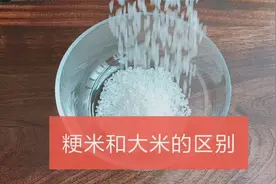 #问答王者#粳米和大米的区别视频封面