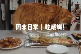 生活日记：夏天怎么过？烧烤加冰可乐，小猫咪也想吃