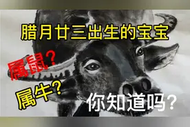 腊月廿三出生的宝宝，是属鼠还是属牛，你知道吗？视频封面