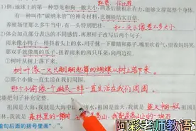 小学语文四下句子训练，作比较和比喻，竟然有这样的好处视频封面