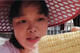 广西妹远嫁广东梅州兴宁农村，这样的甜玉米喂鸡喂鸭吃，太可惜了视频封面