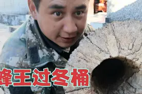 教你制作蜂王过冬桶，养马蜂的核心技术，出钱也不一定学得到视频封面