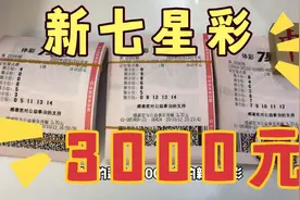 新七星彩上市第一期，帮粉丝代买3000元，讨个头彩看看怎么样……视频封面