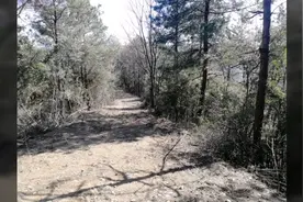 一个人爬山，到山顶了，被一只羊给挡回来了视频封面