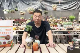 多肉为什么徒长了？该怎么处理视频封面