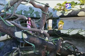 7月11日主播朋友圈