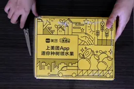 美团浇水送的水果开箱