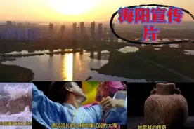 一起来看！从春秋战国时期到现代化的海阳宣传片，上央视！爱祖国视频封面