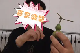 想要改变文玩葫芦龙头造型，用这个方法，让它啥样就啥样