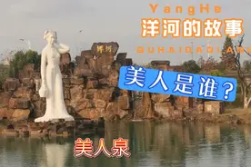 洋河的美人到底是谁？视频封面