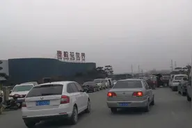 西安南郊最大的花卉批发市场秦岭花世界。视频封面