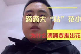 滴滴大“站”花小猪！为什么滴滴公司要推出花小猪平台？