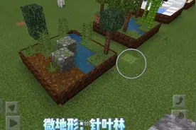 我的世界微地形5:针叶林