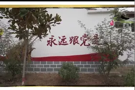 滕州最美乡村—大坞镇视频封面