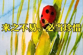 珍惜粮食，珍惜所有的来之不易—清新水彩小麦绘画视频封面